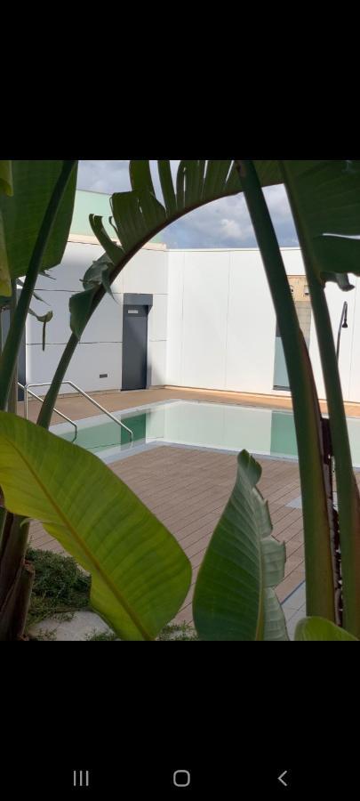 Cordoba Luxury Home Екстер'єр фото